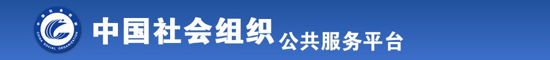 jjBB日本黄色全国社会组织信息查询